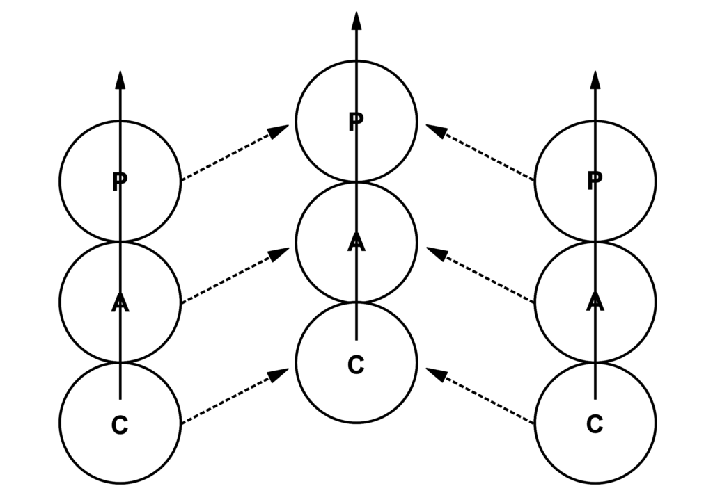 Autonomy Matrix (Hay, 2019, p.19)